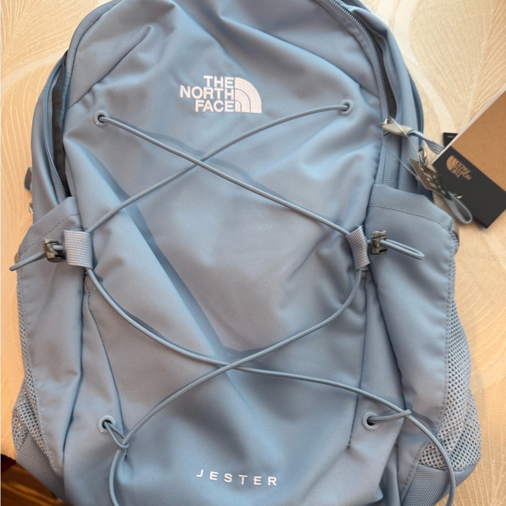 The North Face Light Blue Jester Backpack